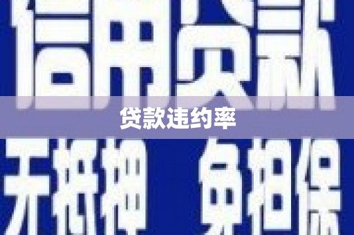 华龙贷款违约率