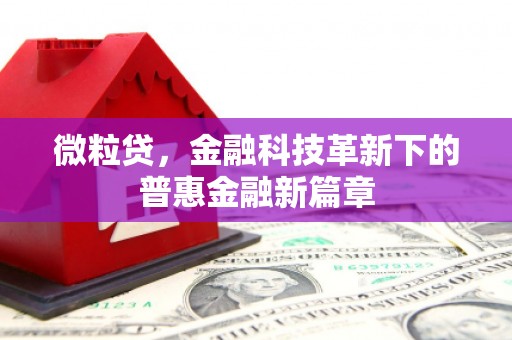 华龙微粒贷，金融科技革新下的普惠金融新篇章