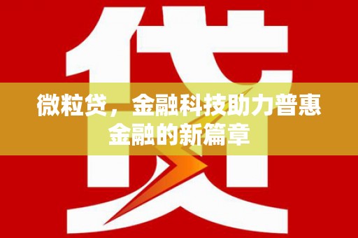 华龙微粒贷，金融科技助力普惠金融的新篇章