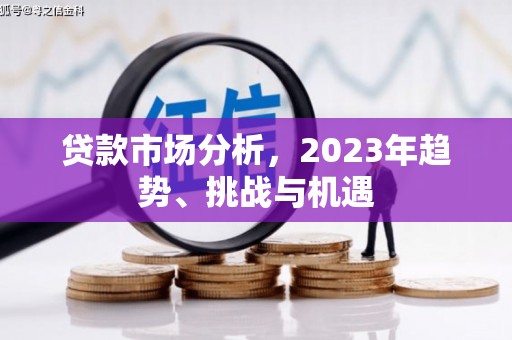 华龙贷款市场分析，2023年趋势、挑战与机遇
