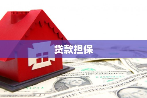 华龙贷款担保