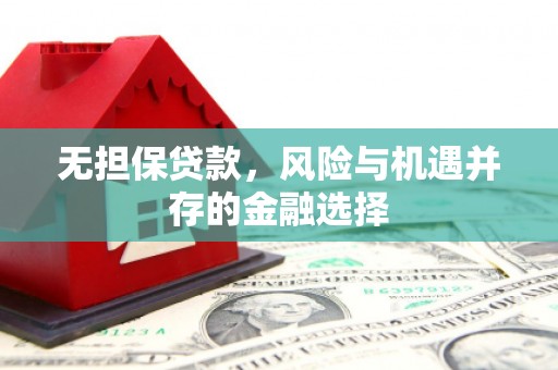 华龙无担保贷款，风险与机遇并存的金融选择