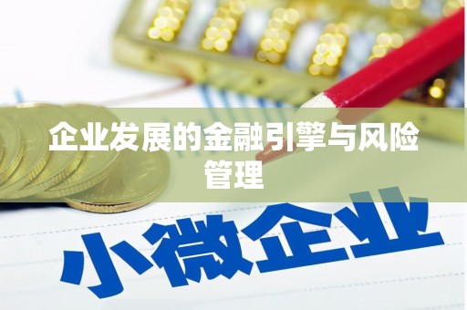 华龙企业发展的金融引擎与风险管理