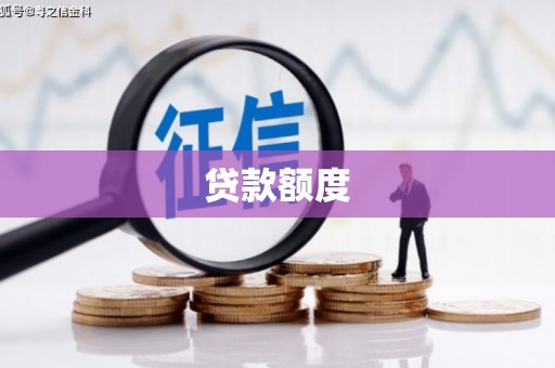 华龙贷款额度