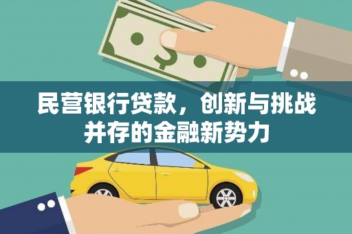 华龙民营银行贷款，创新与挑战并存的金融新势力