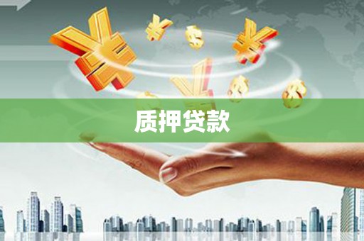 华龙质押贷款