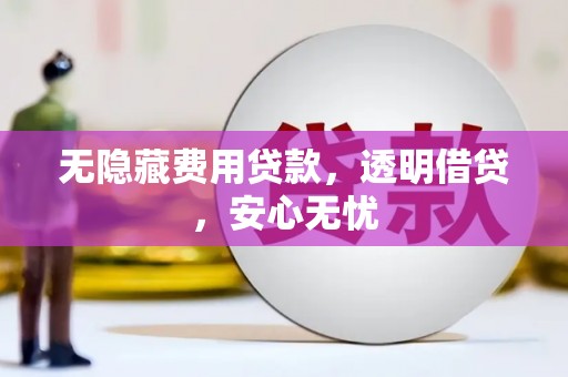 华龙无隐藏费用贷款，透明借贷，安心无忧
