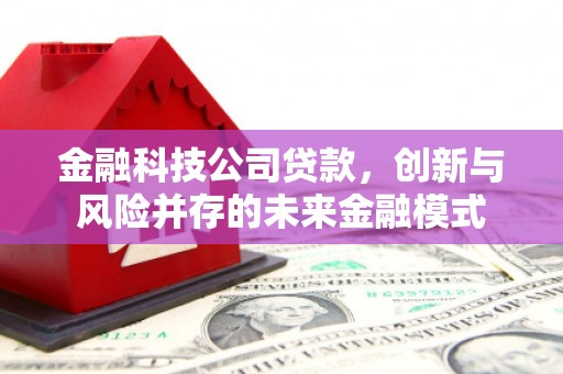 华龙金融科技公司贷款，创新与风险并存的未来金融模式