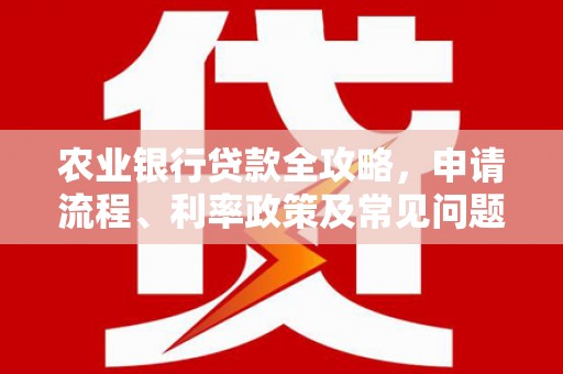 华龙农业银行贷款全攻略，申请流程、利率政策及常见问题解析