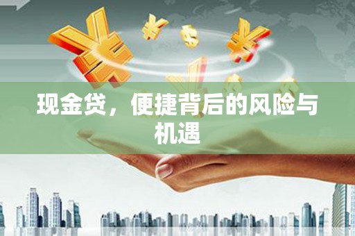 华龙现金贷，便捷背后的风险与机遇