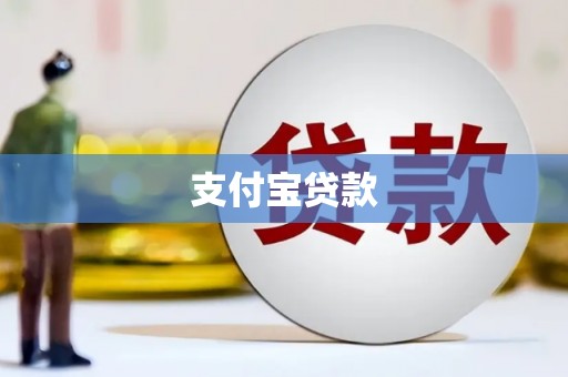 华龙支付宝贷款