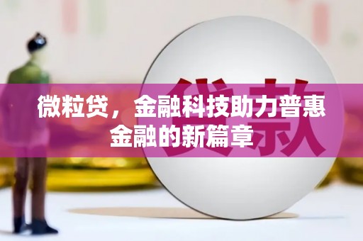 华龙微粒贷，金融科技助力普惠金融的新篇章