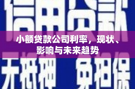 华龙小额贷款公司利率，现状、影响与未来趋势