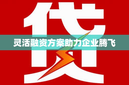 华龙灵活融资方案助力企业腾飞