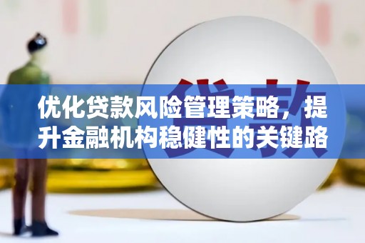 华龙优化贷款风险管理策略，提升金融机构稳健性的关键路径