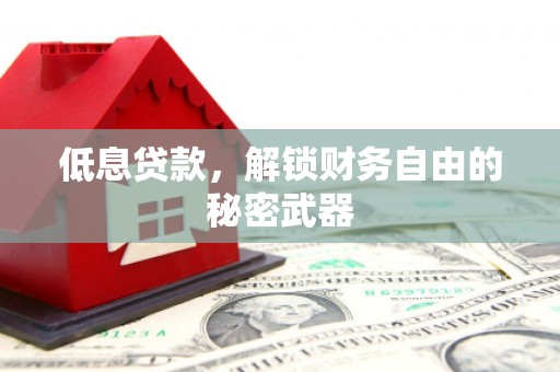 华龙低息贷款，解锁财务自由的秘密武器