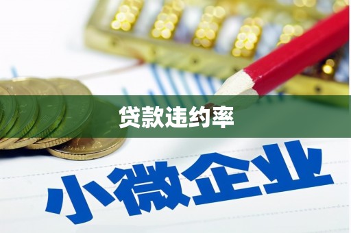 华龙贷款违约率