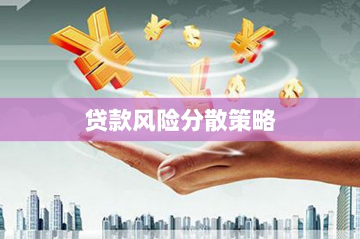 华龙贷款风险分散策略