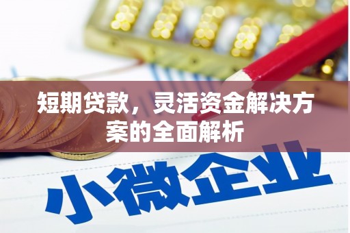 华龙短期贷款，灵活资金解决方案的全面解析