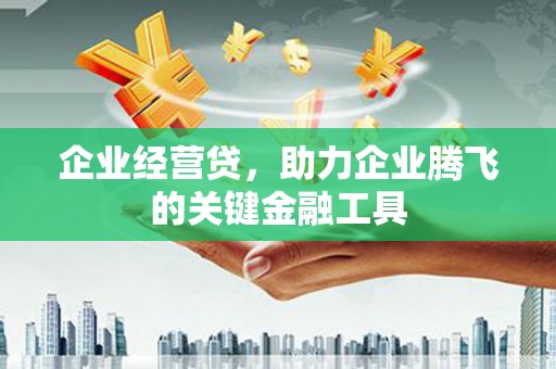 华龙企业经营贷，助力企业腾飞的关键金融工具