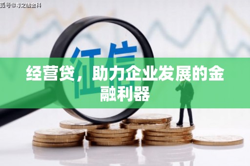 华龙经营贷，助力企业发展的金融利器
