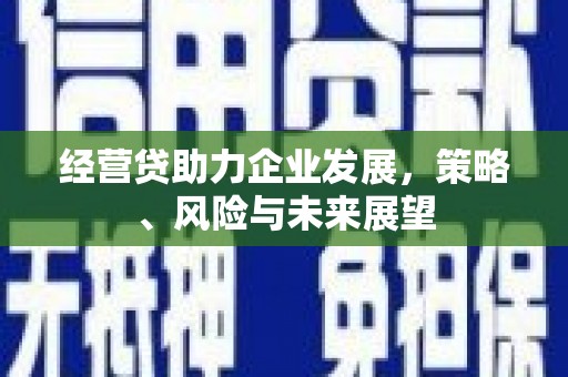 华龙经营贷助力企业发展，策略、风险与未来展望