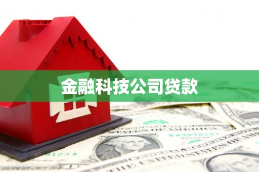 华龙金融科技公司贷款