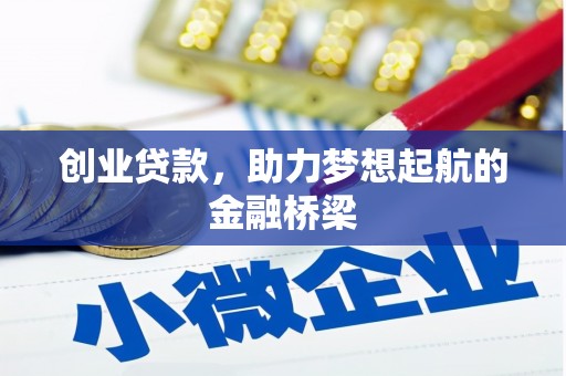 华龙创业贷款，助力梦想起航的金融桥梁