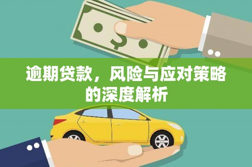 华龙逾期贷款，风险与应对策略的深度解析