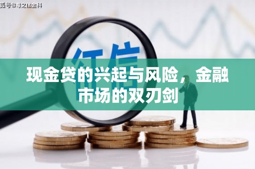 华龙现金贷的兴起与风险，金融市场的双刃剑