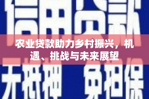 华龙农业贷款助力乡村振兴，机遇、挑战与未来展望