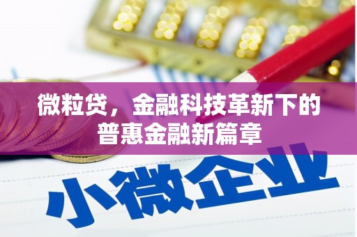 华龙微粒贷，金融科技革新下的普惠金融新篇章