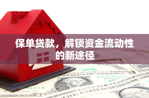 华龙保单贷款，解锁资金流动性的新途径