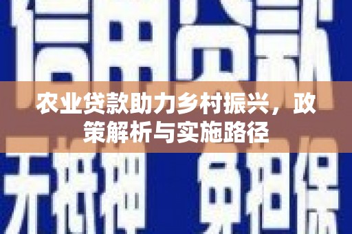 华龙农业贷款助力乡村振兴，政策解析与实施路径