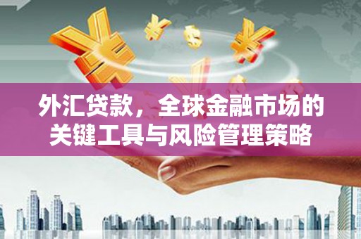 华龙外汇贷款，全球金融市场的关键工具与风险管理策略