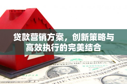 华龙贷款营销方案，创新策略与高效执行的完美结合