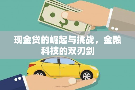 华龙现金贷的崛起与挑战，金融科技的双刃剑