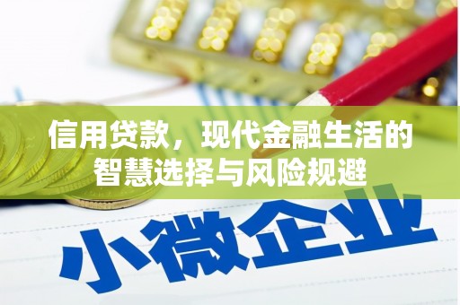 华龙信用贷款，现代金融生活的智慧选择与风险规避