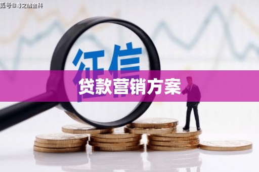华龙贷款营销方案