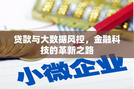 华龙贷款与大数据风控，金融科技的革新之路