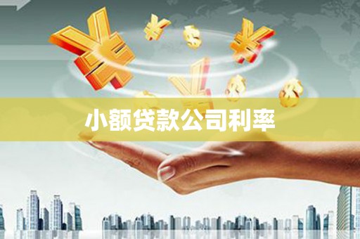 华龙小额贷款公司利率