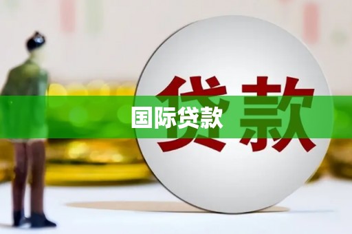 华龙国际贷款