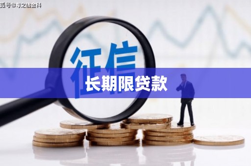 华龙长期限贷款
