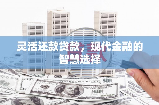 华龙灵活还款贷款，现代金融的智慧选择