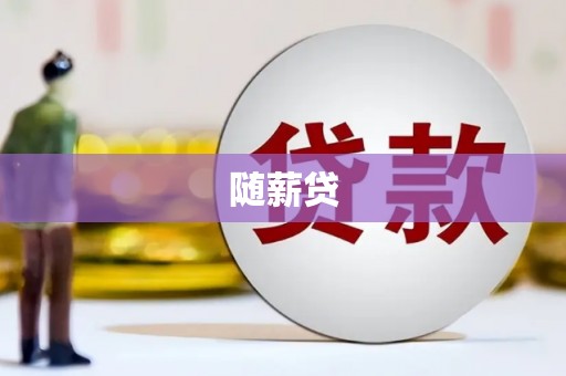 华龙随薪贷