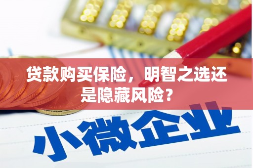 华龙贷款购买保险，明智之选还是隐藏风险？