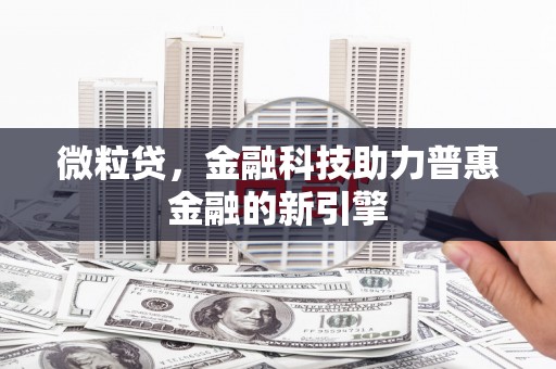 华龙微粒贷，金融科技助力普惠金融的新引擎