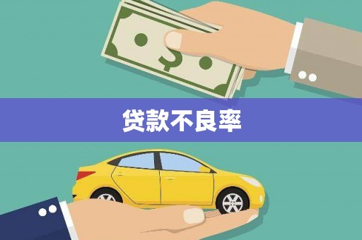 华龙贷款不良率