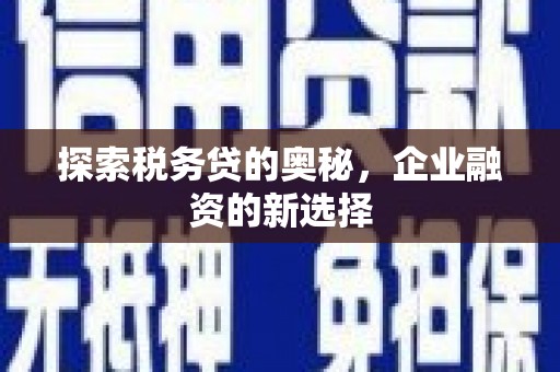 华龙探索税务贷的奥秘，企业融资的新选择
