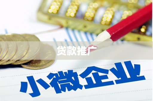 华龙贷款推广